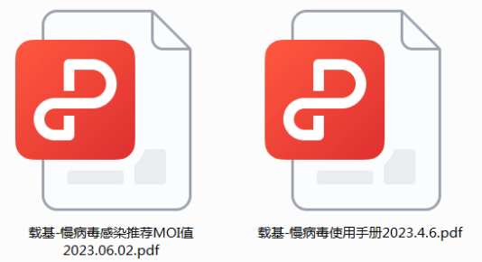 基因干扰稳转细胞株
