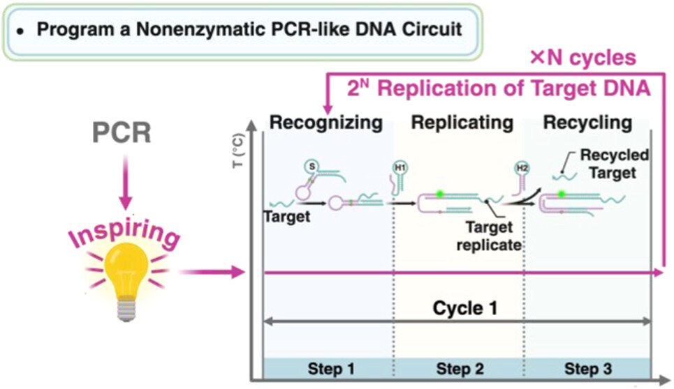 BMG LABTECH多功能酶标仪文献分享,香港中文大学科研团队发表在Analytical Chemistry 上名为 “Programmable PCR-like Nonenzymatic DNA Molecular Circuit for Split-Free Autocatalytic Amplification“ 开发了一....
