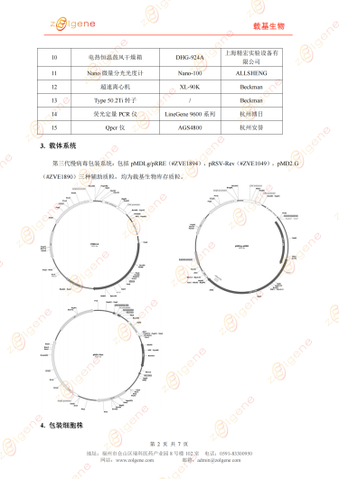 基因干扰稳转细胞株