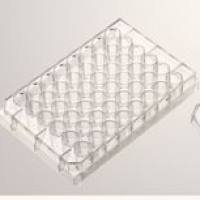 48孔细胞培养板