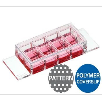 ibidi µ-Pattern 8孔腔室载玻片，一维细胞分析/高分辨成像,精准定位细胞粘附 - 83814