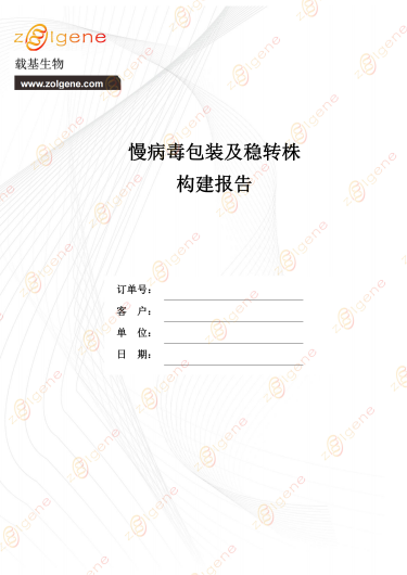 基因干扰稳转细胞株