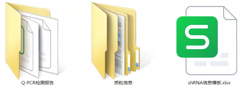 基因干扰稳转细胞株