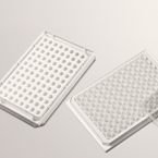 白色透明底96孔板，96孔白色透明底细胞培养板