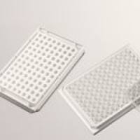 白色透明底96孔板，96孔白色透明底细胞培养板