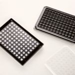 黑色透明底96孔板,96孔黑色透明底细胞培养板