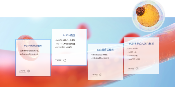 新升级│南模生物官网全新板块开启