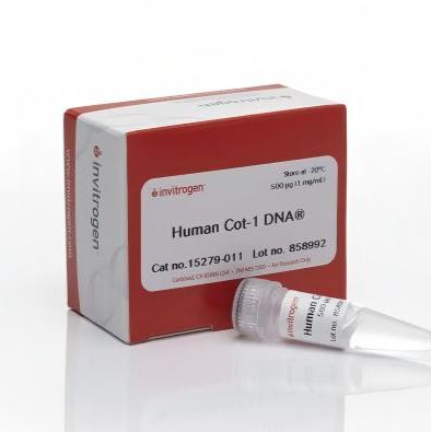 Invitrogen 人Cot-1 DNA™ 15279011（500µg）