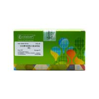 一步法酵母质粒小提试剂盒