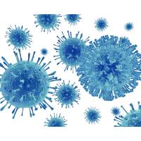 Ubri-Amrita™ iPSC细胞株科研级