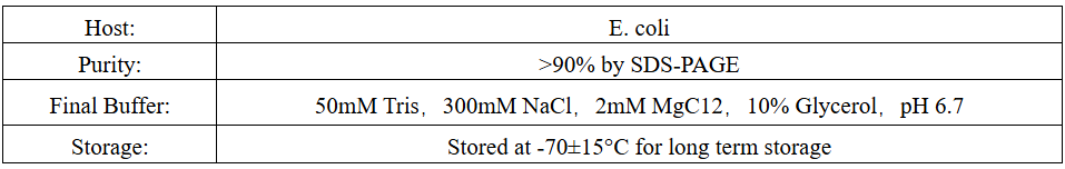 萤火虫荧光素酶