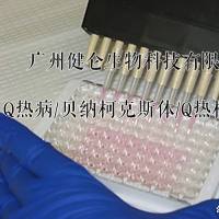 Q热病/伯氏立克次氏体/柯克斯体IgG抗体ELISA试剂盒