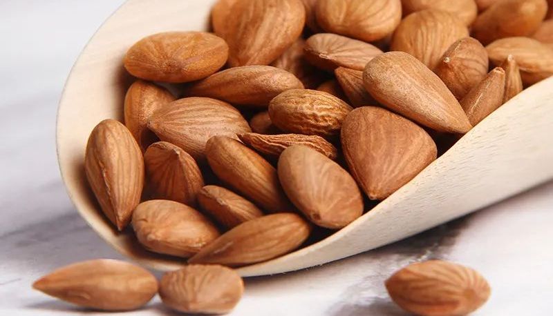 文献解读 | 无创血压计助力甜杏仁中球蛋白多功能肽的降血压研究