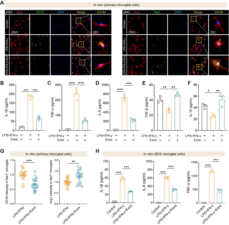qpcr检测 qpcr检测
