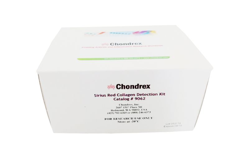 Chondrex胶原检测试剂盒