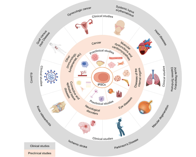iPSC安全高效重编程的破茧之路