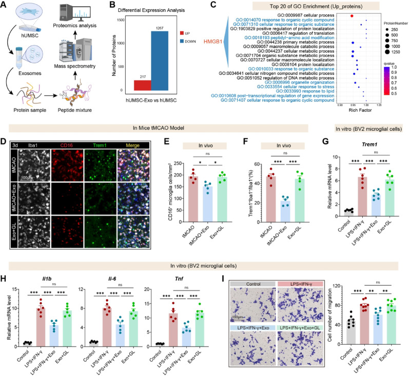 生物信息学分析 生物信息学分析