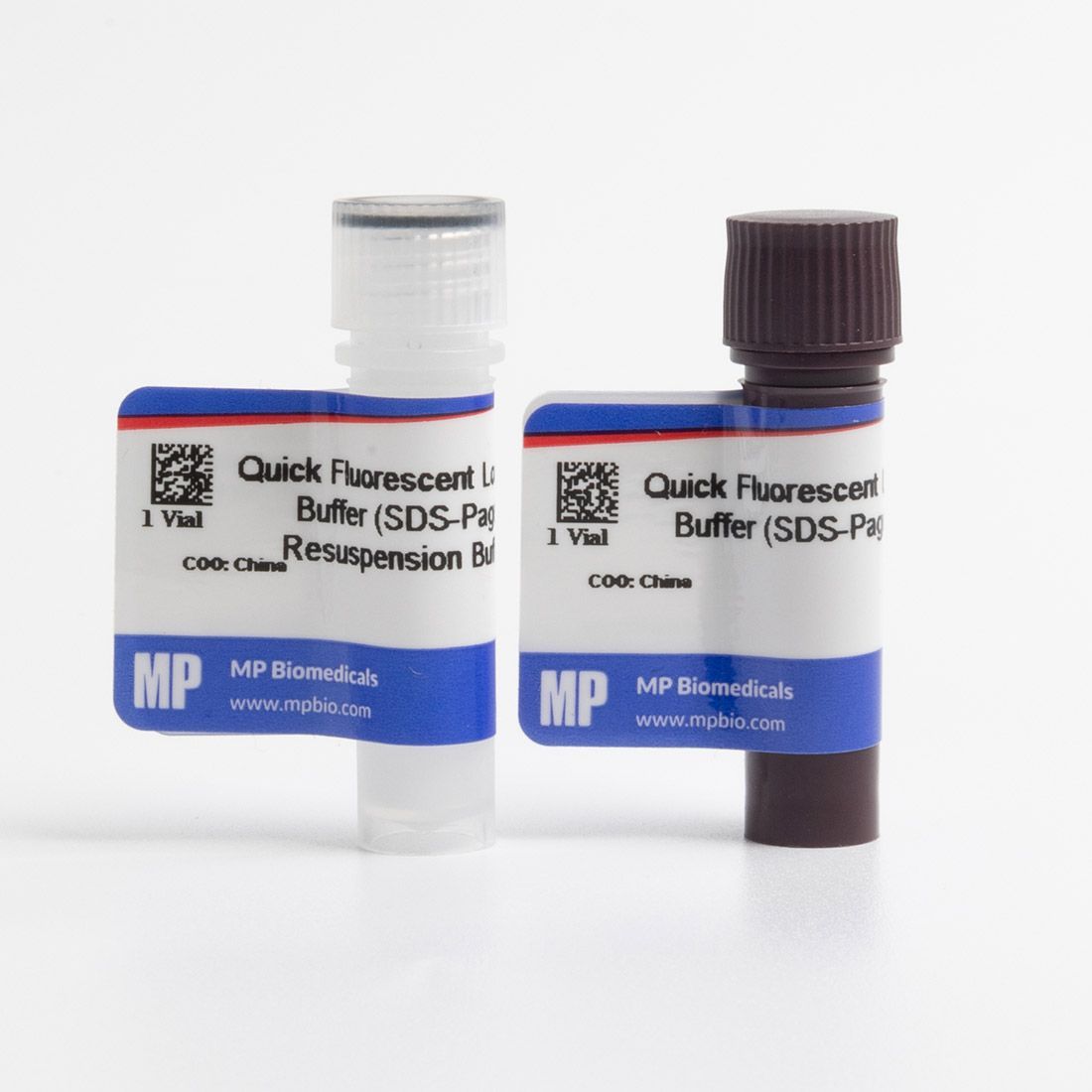 3×荧光蛋白上样缓冲液（用于SDS-PAGE）