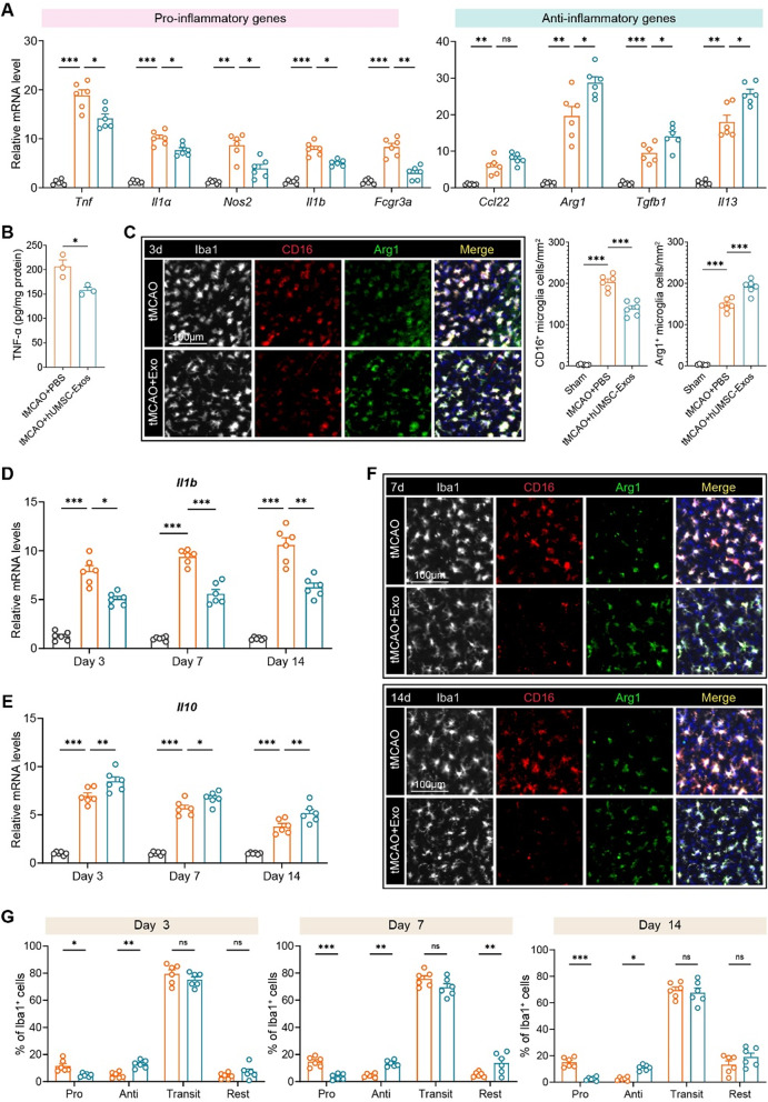 QPCR检测 QPCR检测