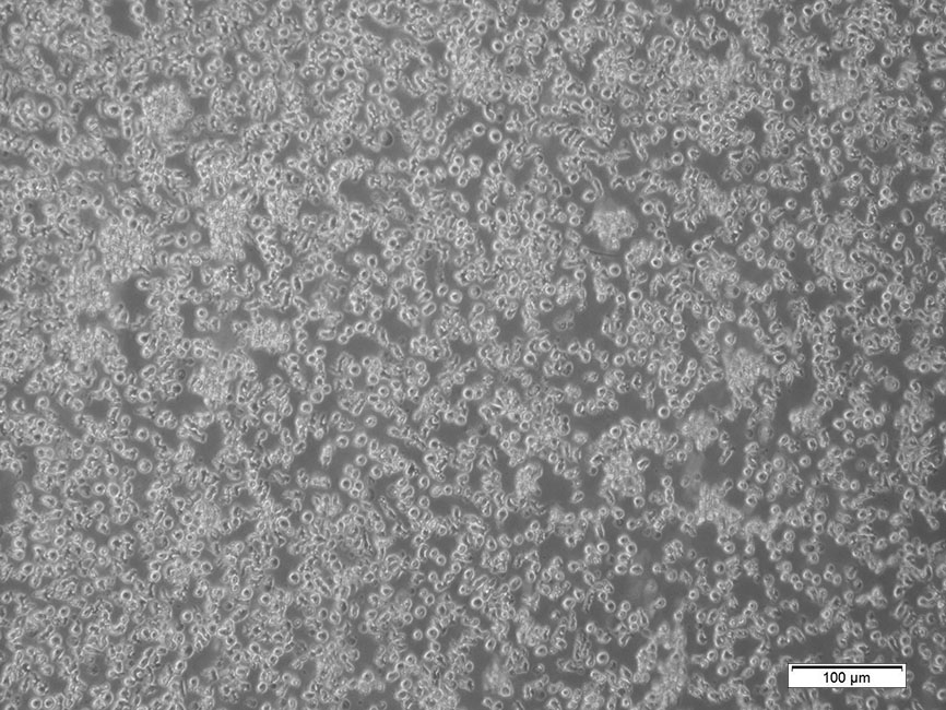 产品细节图片11