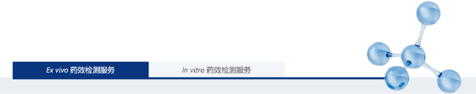 新升级│南模生物官网全新板块开启