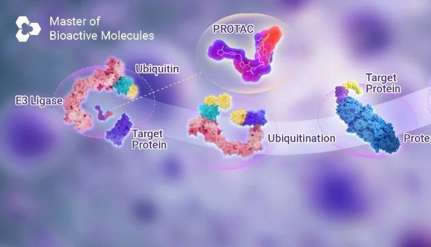 前沿进展 | 如何突破 "不可成药" 困境? PROTACs 引领治疗领域革新!