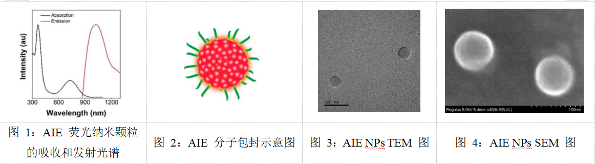 近红外 AIE1010 荧光纳米颗粒