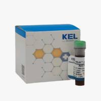 KELAF™ 488 AffiniPure Goat Anti-Human IgG (H+L)