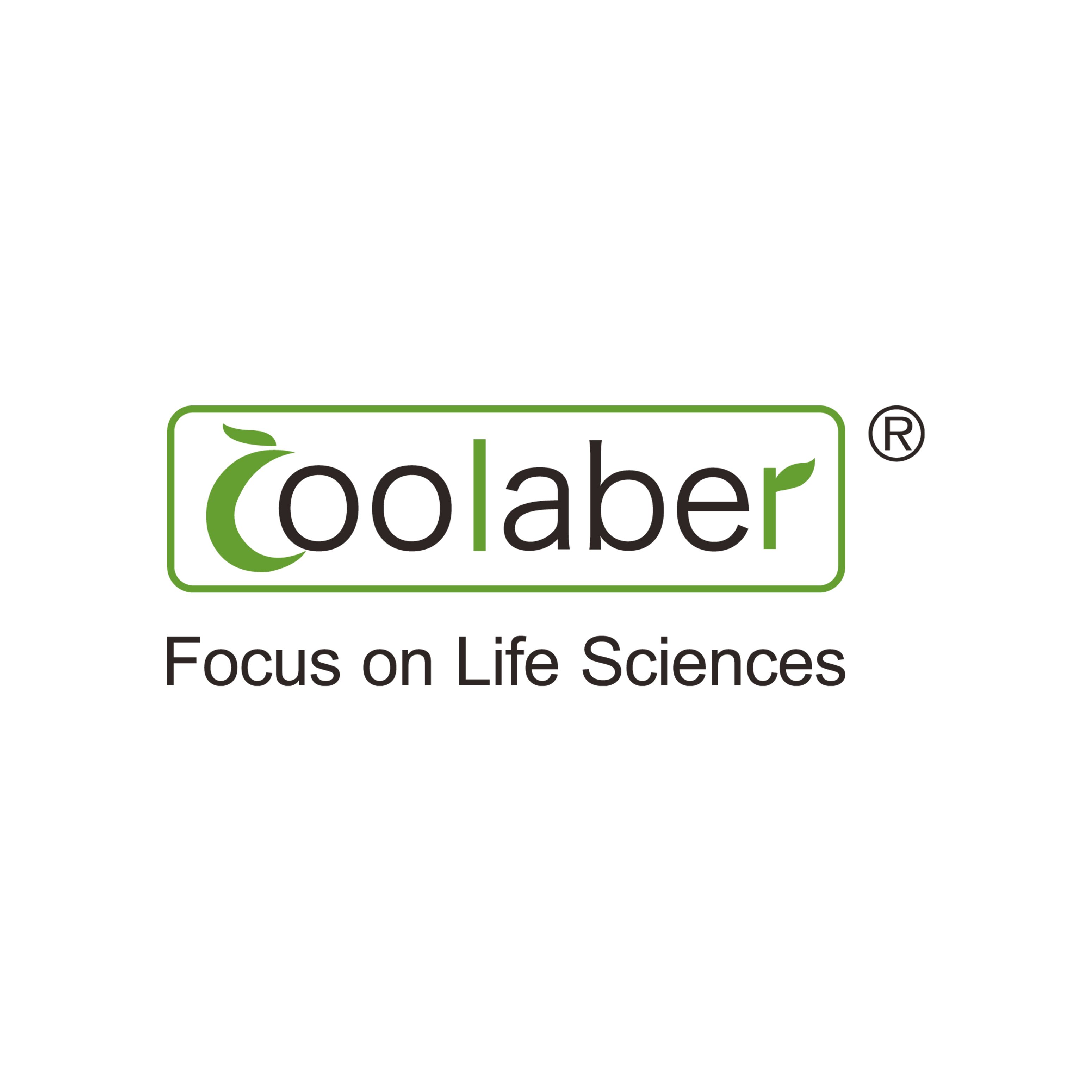 类梯度免染PAGE胶快速制备及电泳试剂盒