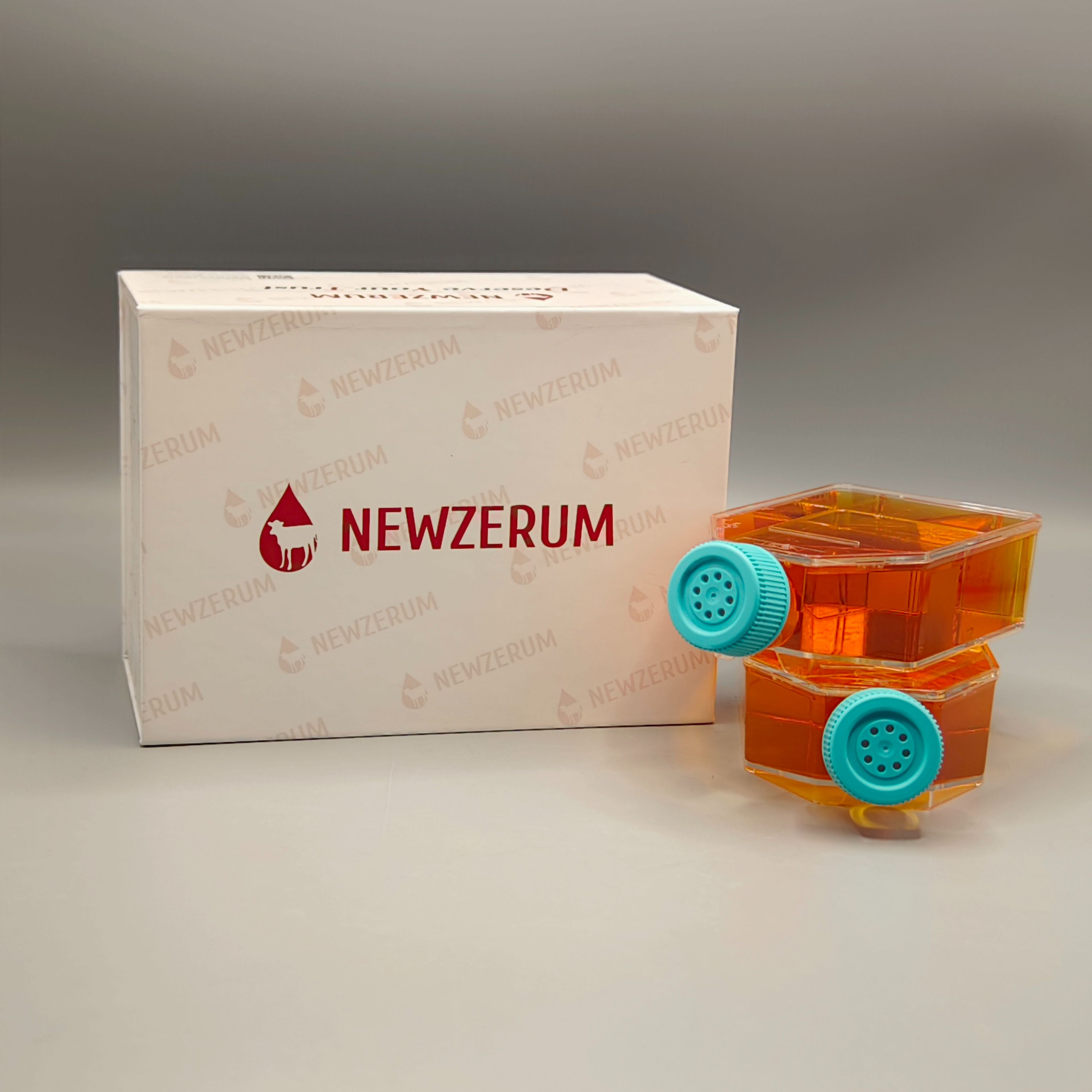 KHOS-240S(人骨肉瘤细胞)