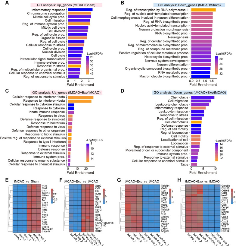 生物信息学分析 生物信息学分析