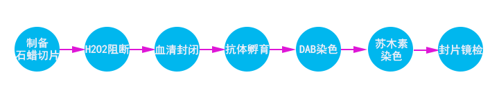 免疫组化（不含一抗）