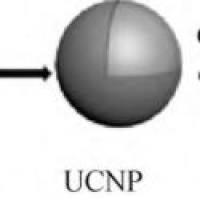 上转换纳米粒子包载荧光染料罗丹明B和吲哚菁绿 UCNP@RB/ICG
