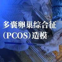 多囊卵巢综合症PCOS模型