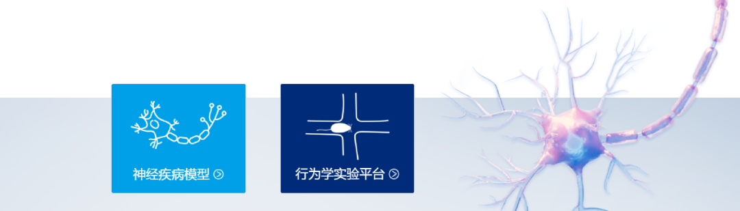 新升级│南模生物官网全新板块开启