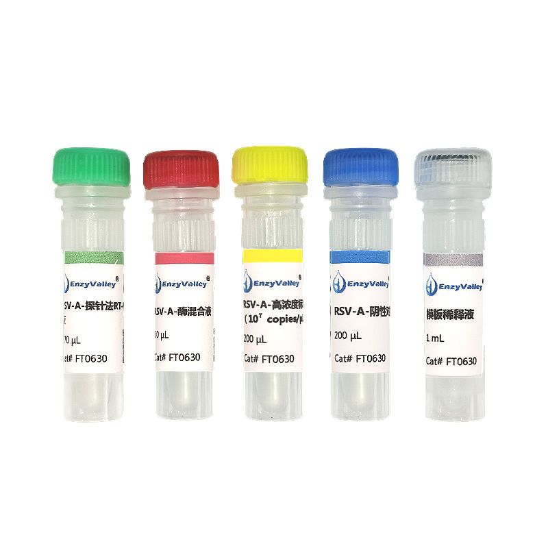 呼吸道合胞病毒 A 型探针法 RT-PCR 试剂盒