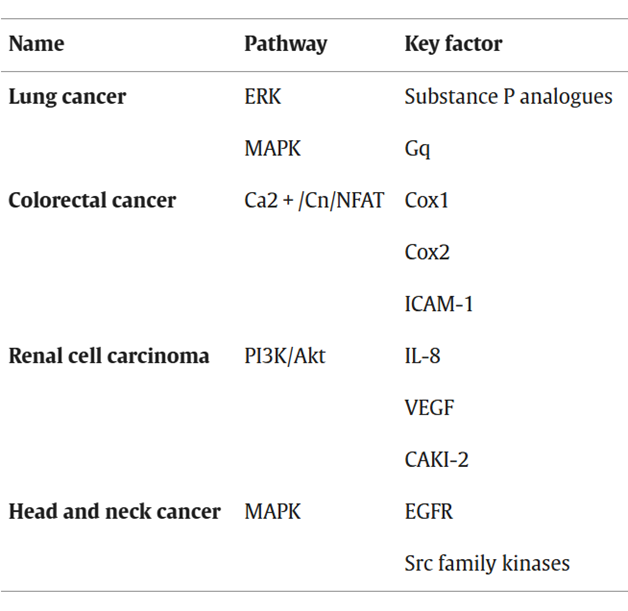 GRPR(BB2):精准诊疗的抗癌药物靶点