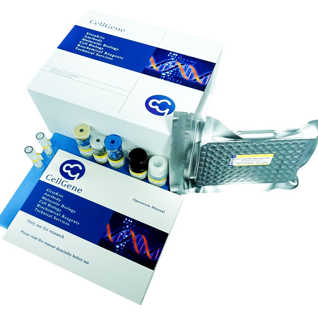 中华仓鼠卵巢细胞（CHO）宿主蛋白（HCP）,G2残留检测试剂盒