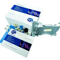 中华仓鼠卵巢细胞（CHO）宿主蛋白（HCP）,G2残留检测试剂盒