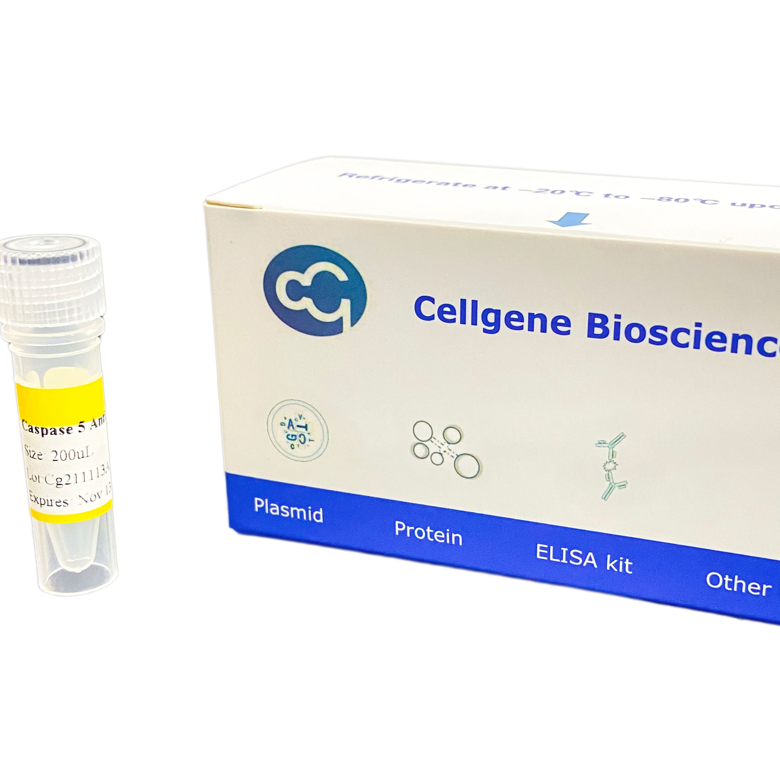 E.coli HCP G3 抗体