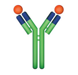 LifeSensors-抗SENP1core抗体超值购，科研人专属福利！
