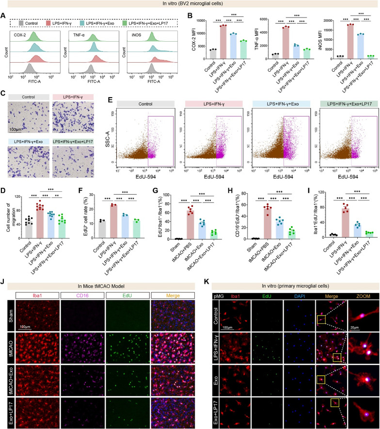 细胞功能实验 细胞功能实验