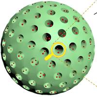 负载帕纳替尼的介孔二氧化硅纳米粒 Ponatinib@MSN