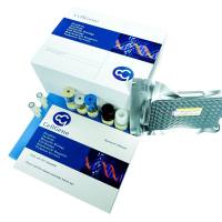 酿酒酵母（S. cerevisiae）宿主细胞蛋白（HCP）,G3 残留检测试剂盒