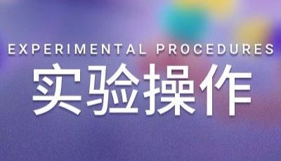 实验操作 | 滴滴! 解锁 T 细胞活化 — 诱导实验秘籍