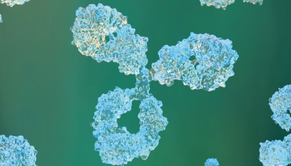 5-10% discount on larger orders