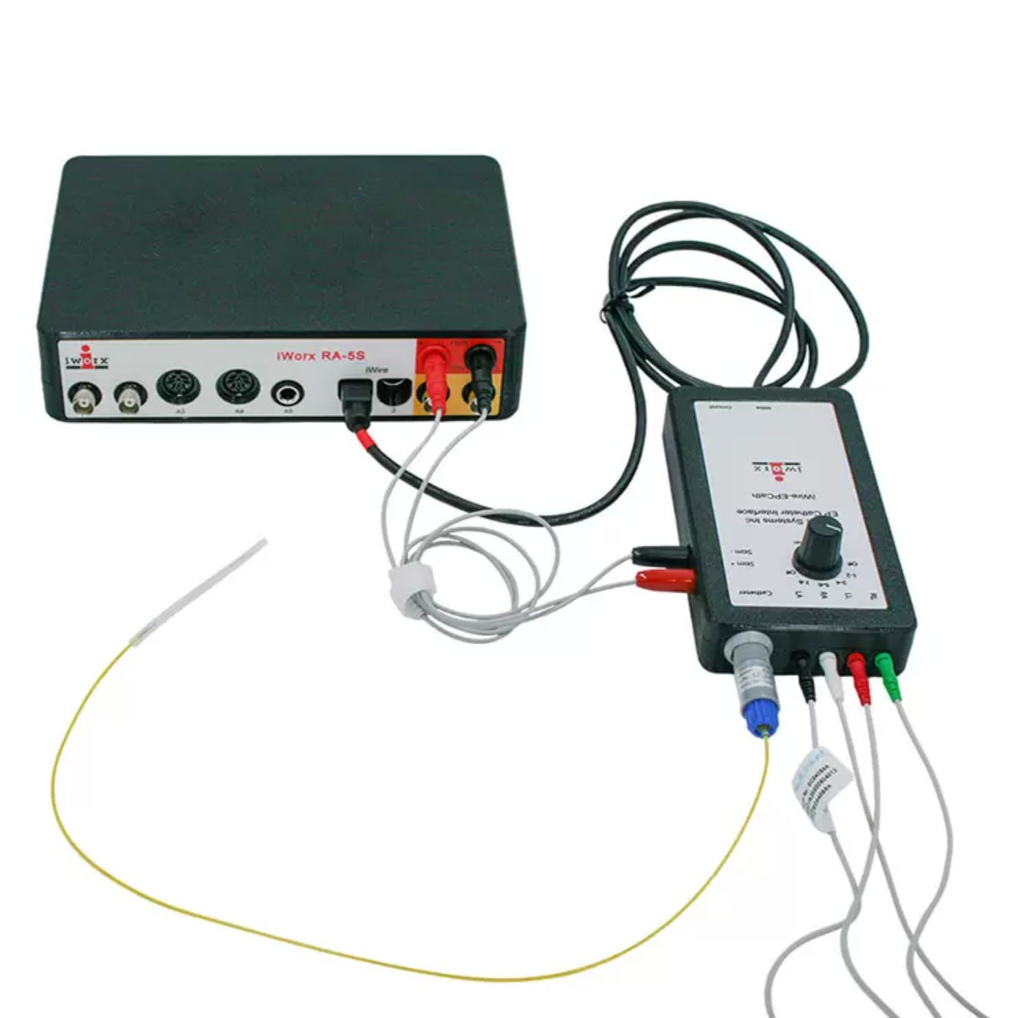 小动物电生理采集系统