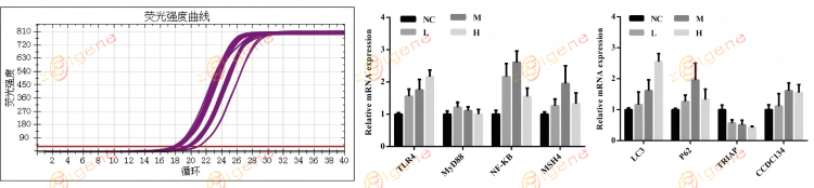 qPCR