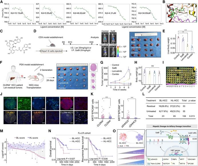 从单细胞量化到空间解析:Tissue Cytometry技术赋能肝癌胆管样转化与耐药关联研究,为精准治疗提供新依据