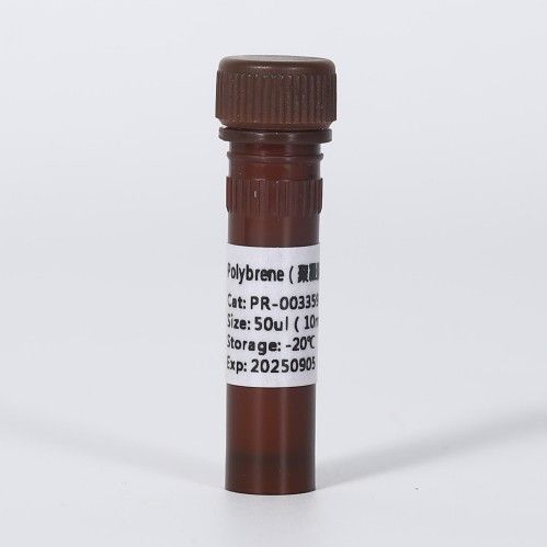 Polybrene（聚凝胺）